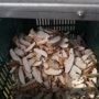 표고버섯,표고버섯판매- 청춘표고버섯농장의 표고버섯말리기,채널A먹거리X파일