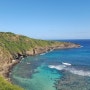 하와이 4박6일 자유여행