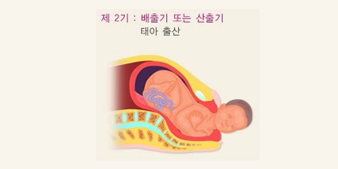 자연분만 출산 과정 출산에 걸리는 시간 : 네이버 블로그