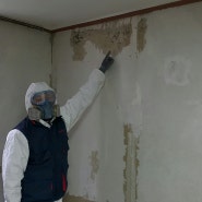 통영,진주,창원곰팡이제거 전문업체의 벽지재발예방하는 방법