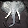 카이요도 메가소프비 아프리카 코끼리 원페스 한정 미도색 소프비 키트