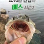 배스낚시, 겨울의 끝과 봄 낚시 시즌을 알리는 '당진권 포인트' 공개