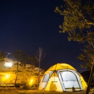 연천 한탄강 소나무 캠핑장