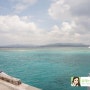 [오키나와 여행 3일차] 오키나와 스노쿨링 민나섬 호핑 호핑투어