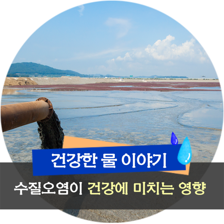 수질오염이 건강에 미치는 영향 : 네이버 블로그