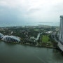 싱가포르 식물원 보타닉가든 가든스더베이 마리나베이샌즈호텔