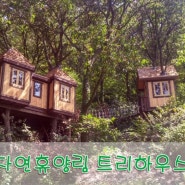 경기도 용인 자연휴양림 트리하우스 시공 (나무 위 집 건축 전문 트리하우스 코리아)