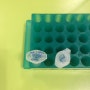 2월2번째; DNA 증폭(PCR) 1
