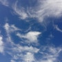 푸른 호주 시드니 하늘