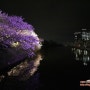 2016 후쿠오카 벚꽃 축제, 후쿠오카성 벚꽃축제