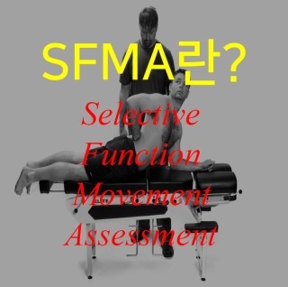 SFMA(Selective Funtional Movement Assessment)란? : 네이버 블로그