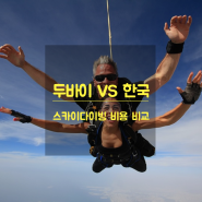 [두바이 vs 한국] 스카이다이빙 비용 비교