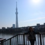 도쿄 자유여행, 아사쿠사에서 스카이트리 가는법, 무민카페