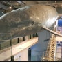 국내 유일의 고래전문박물관인 울산 장생포 고래박물관