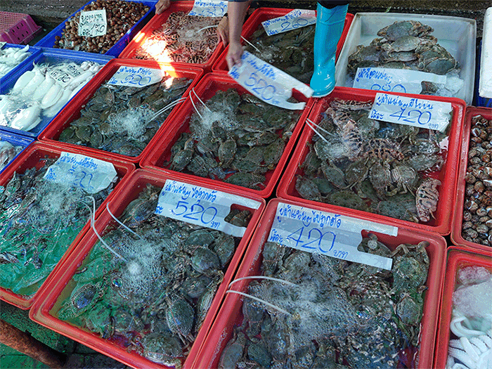 태국 해산물 시장 - 촌부리 앙실라 시푸드 마켓 (Ang Sila Seafood Market) : 네이버 블로그