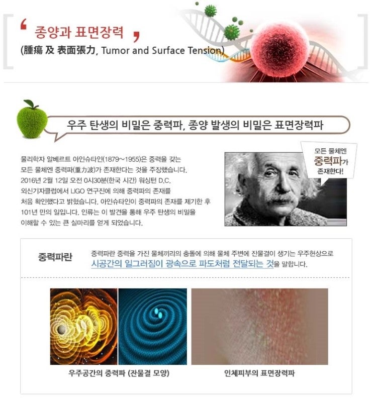 종기 종양, 암, 표면장력과의 관계 : 네이버 블로그