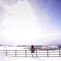 [일본여행사진]일본 홋카이도(북해도) 비에이 눈부신 햇살 by 포토그래퍼 원종호