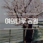 여의나루역 여의도 한강공원_3월의 벚꽃