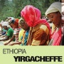 에디오피아 예가체프G1 하일레 셀라시에 워시드