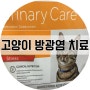 고양이 방광염 치료와 사료 힐스 유리나리 케어 C/D