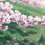 봄하면 떠오르는 벚꽃 봄꽃 예쁜 꽃사진들과 예쁜 컬러들