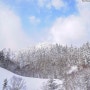 [일본여행사진]일본 홋카이도(북해도) 차창밖 흔한 풍경 by 포토그래퍼 원종호