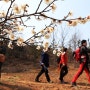 봄이 오는 강진, 정약용 다산 초당이 자리한 뿌리길