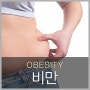 비만 · 다이어트 · K 한의원