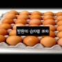 부활절 달걀의 숨겨진 의미