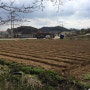 <김해생태체험학교 참빛> 고구마수확을 위한 농사 첫단계(멀칭하는법)