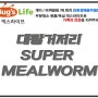 해충으로 부터 안전한 사업장 만들기 시작은 벅스라이프와 함께 대왕거저리 Super mealworm