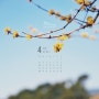 [#118_월페이퍼]2016년 4월 바탕화면 달력