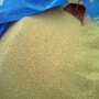 톤백자루에서 포대에 담아 광에 쌀 옮기기