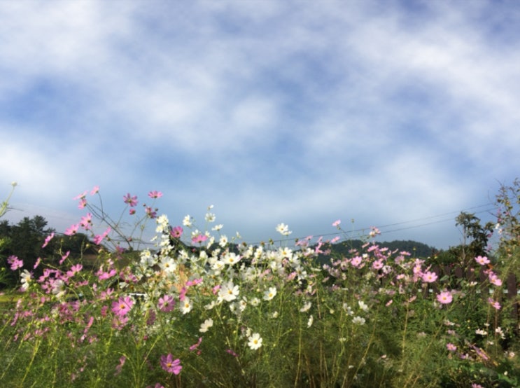 [포토샵강좌]구름효과 만들기 : 네이버 블로그