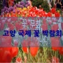 울 동네 꽃 축제 (2016 고양 국제 꽃박람회)