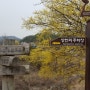 상천리의 봄
