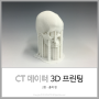 3D프린터로 출력하는 CT데이터 3D 프린팅 - 출력 편