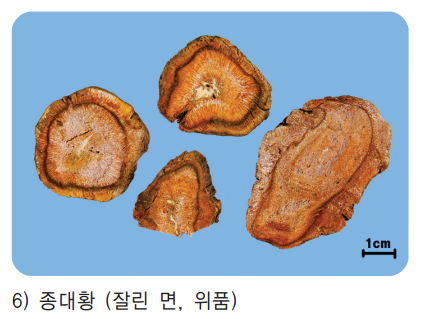 대황 - 장엽대황은 유통이 안되니 당고특대황을 사용해야 한다. 종대황, 토대황은 위품. 굵은것을 사용해라. : 네이버 블로그