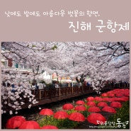 진해봄꽃축제/진해여행] 아름다운 풍경과 함께한 흥겨운 축제, 진해 군항제