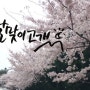 (부산/해운대) 벚꽃 나들이 feat. 달맞이고개