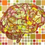 [지식&정보]건강한 뇌 만들기 프로젝트! 건강한 식품으로 똑똑하게 건강 지키기!