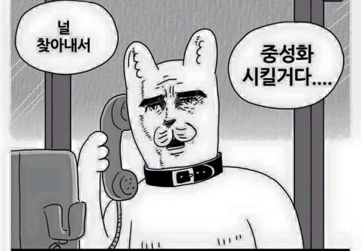 짤 모음 - 웃긴 짤 모음/귀여운 짤 모음/카톡 짤 모음/짤방 모음/움짤 모음 : 네이버 블로그