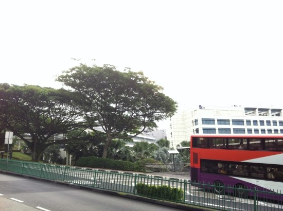 싱가포르 국립대학nus 방문 및 베이징덕 네이버 블로그 