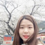 [대전]동학사 벚꽃나들이♥
