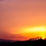 [풍경사진]붉게 물든 노을을 바라보며 by 포토그래퍼 원종호