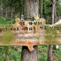 [신문식 국회의원 후보가 알려주는] (장흥) 도심 속 자연을 걷는 그린샤워의 장, 정남진 편백숲 우드랜드를 소개합니다!