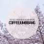 [광나루 카페] 워커힐 벚꽃축제 그리고 맛있는 커피, '커피점빵'