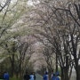 토요일 아름다운 분들과 함께~ 양재천 벚꽃 사진입니다^^