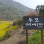[남해여행]남해 유채꽃 여행 두모마을