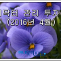 머니닥터 유용현팀장의 투자자산 관리현황(2016.4.11일 기준)